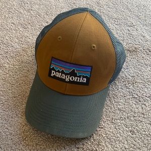 Patagonia P-6 logo trucker.
